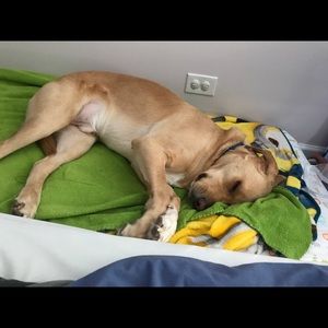 Meet your Posher, Luisa